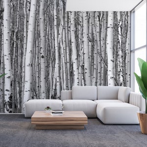 Birch Tree Forest Wallpaper, Black and White Trees Wall Mural • Peel ...