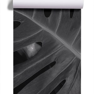 Black and white tropical leaves photo wallpaper Self adhesive Peel & Stick Repositionable removable wallpaper image 8