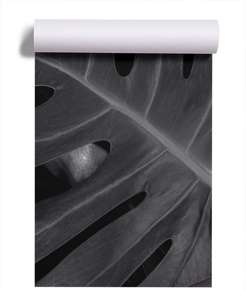 Black and white tropical leaves photo wallpaper Self adhesive Peel & Stick Repositionable removable wallpaper image 8