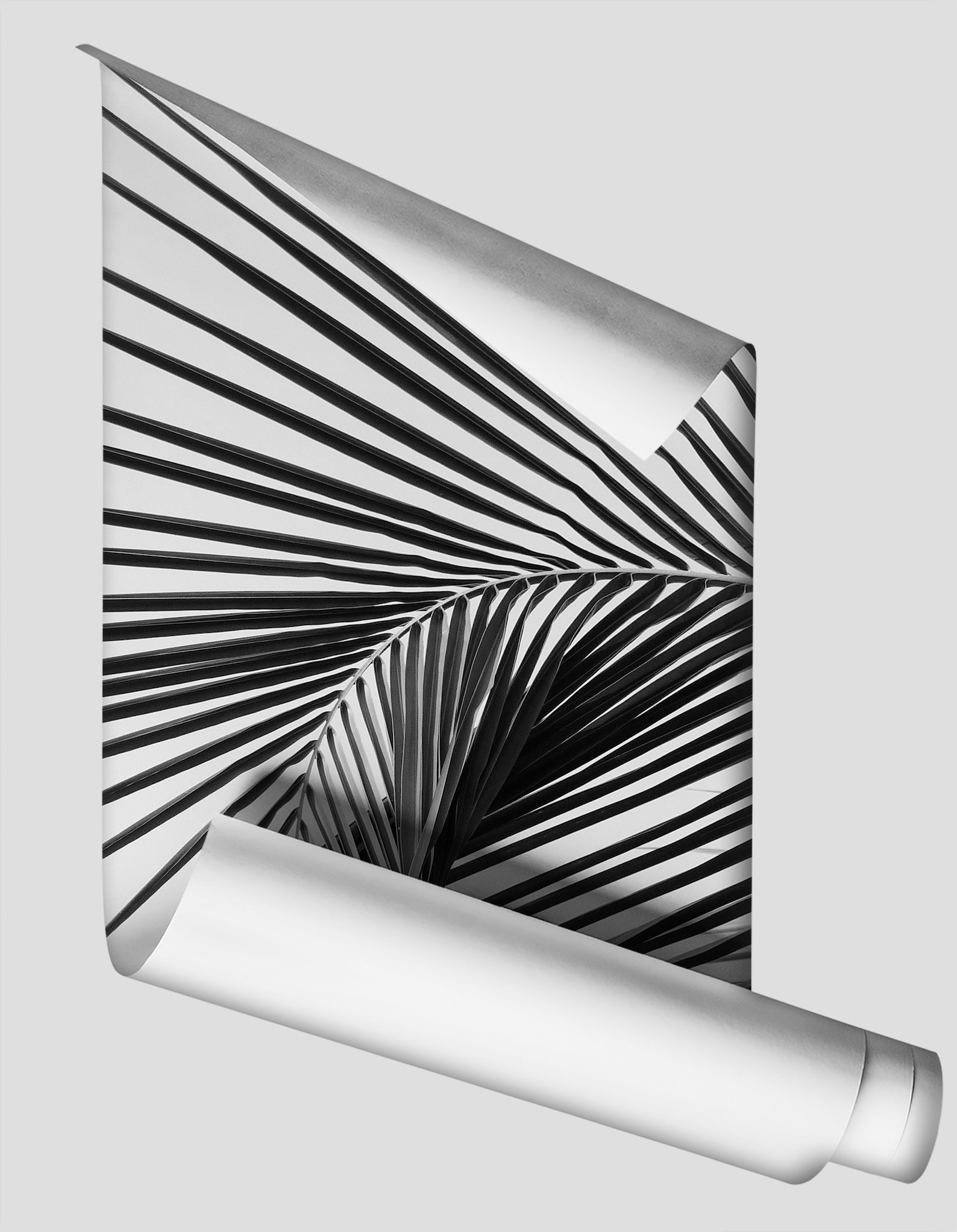 Black and White Palm Leaf Wallpaper | Self Adhesive | Peel & Stick ...