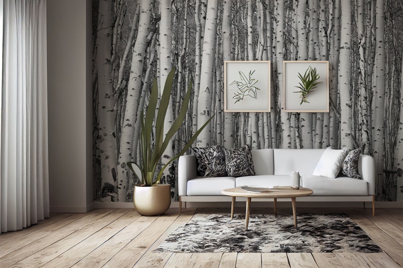 Birch Tree Forest Wallpaper, Black and White Trees Wall Mural • Peel ...