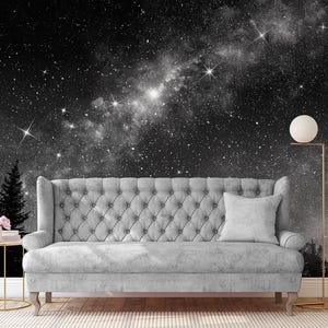 Carta da parati galassia scura, arte murale cielo stellato, murale spaziale, stampa nebulosa • Materiali vinilici staccabili e attaccabili *autoadesivi* o non incollati •