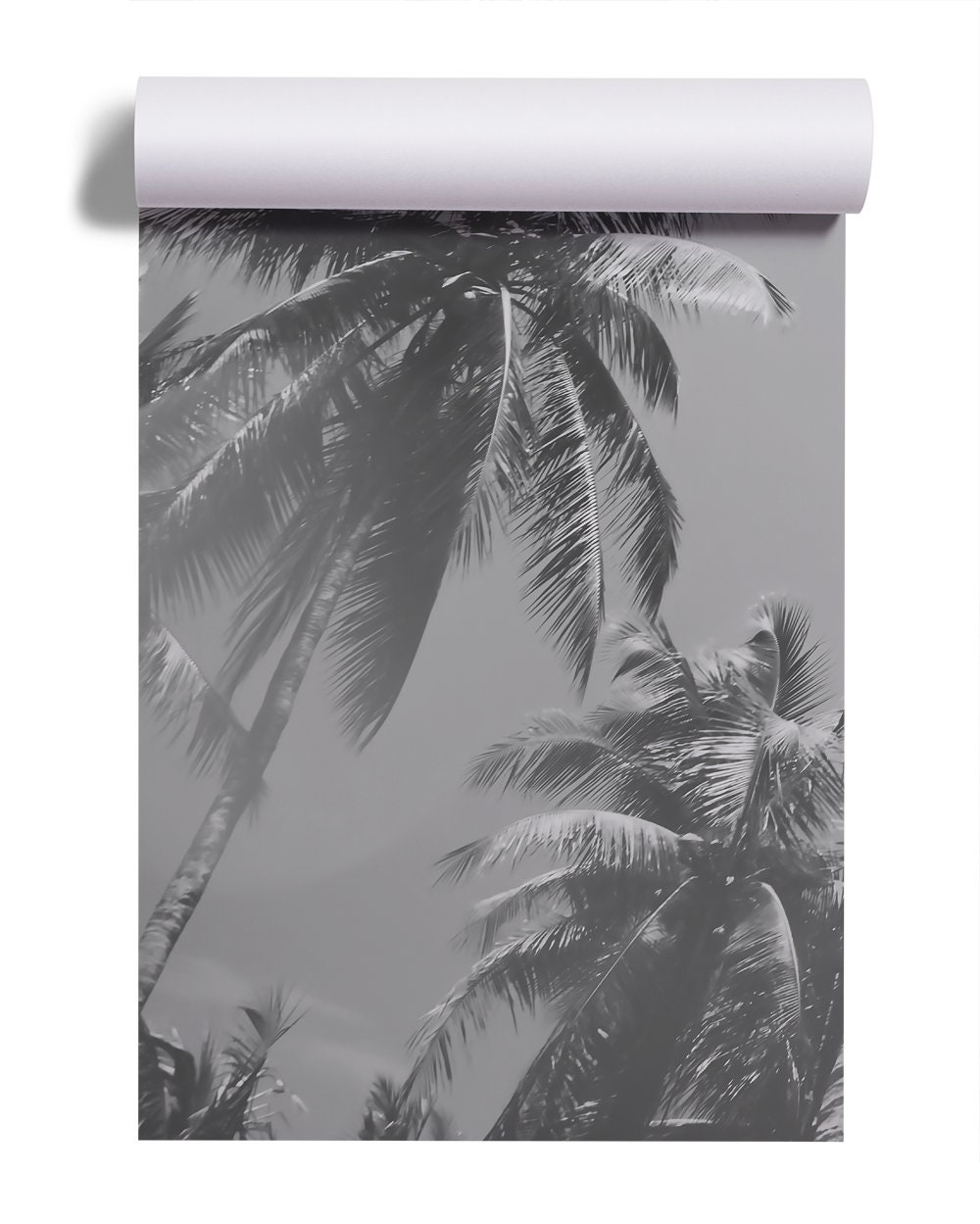 Black and White Palm Trees Photo Wallpaper | Self Adhesive | Peel ...