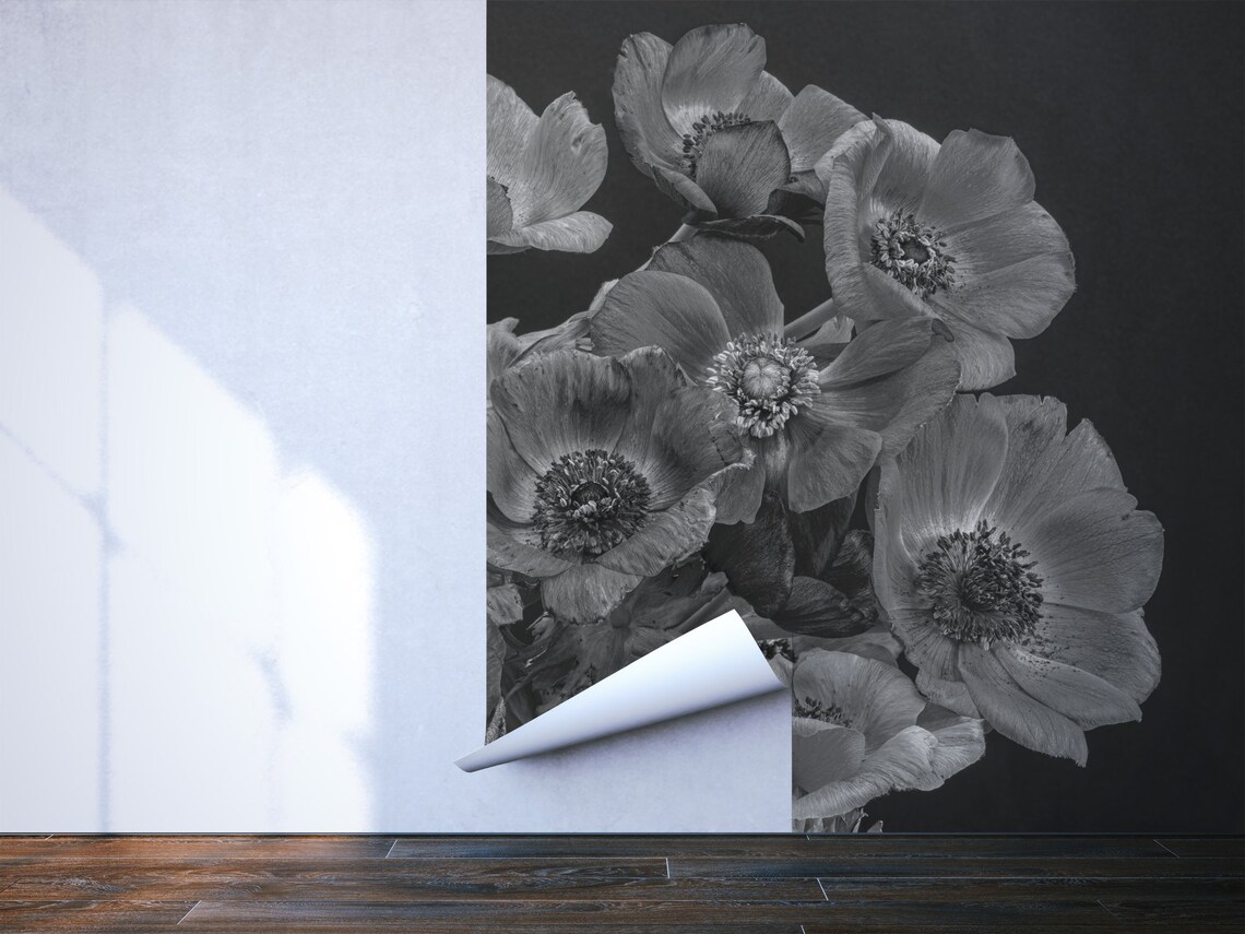 Black and White Anemone Flowers Photo Wallpaper Self - Etsy