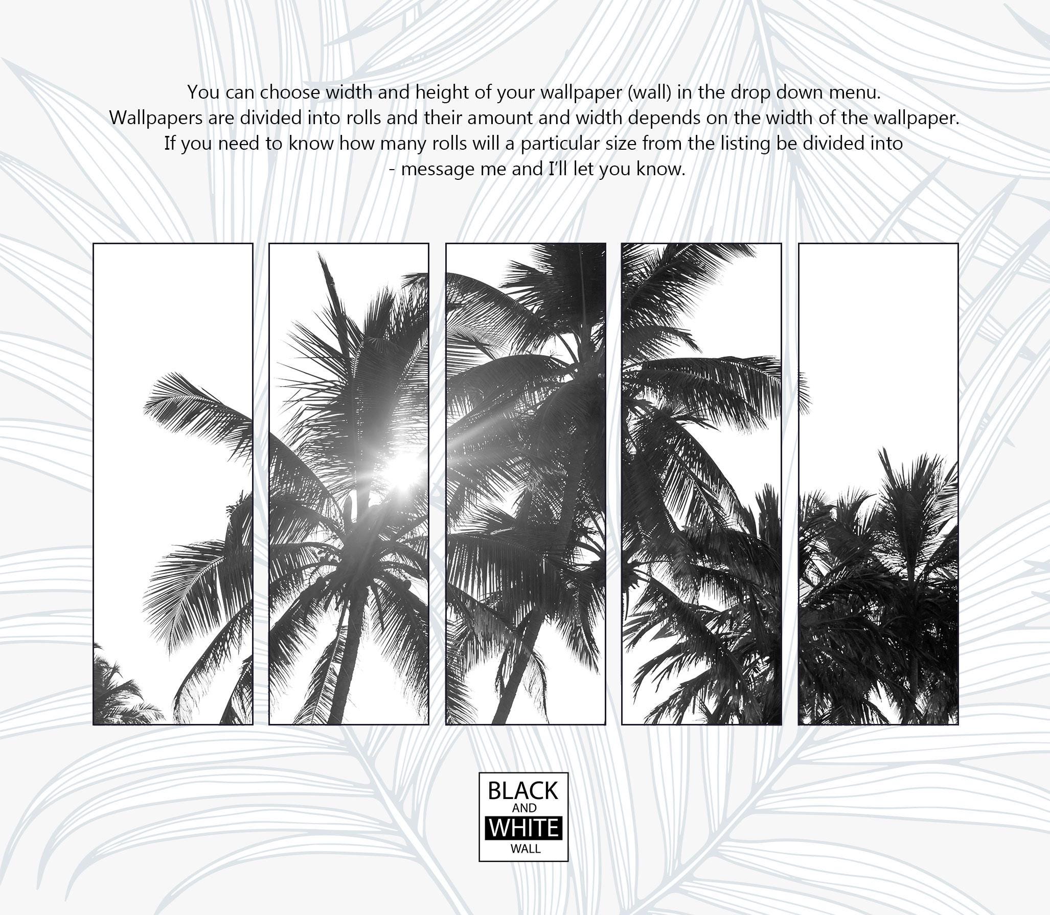 Black and White Sunny Tropical Palm Trees Wallpaper | Self Adhesive ...