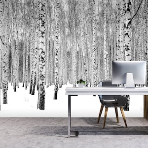 Winter birch tree forest photo wallpaper | Self adhesive | Peel & Stick | Repositionable removable wallpaper