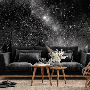 Carta da parati con cielo stellato scuro, arte murale spaziale, murale con galassia, stampa di nebulosa • Materiali vinilici staccabili e attaccabili *autoadesivi* o non incollati •