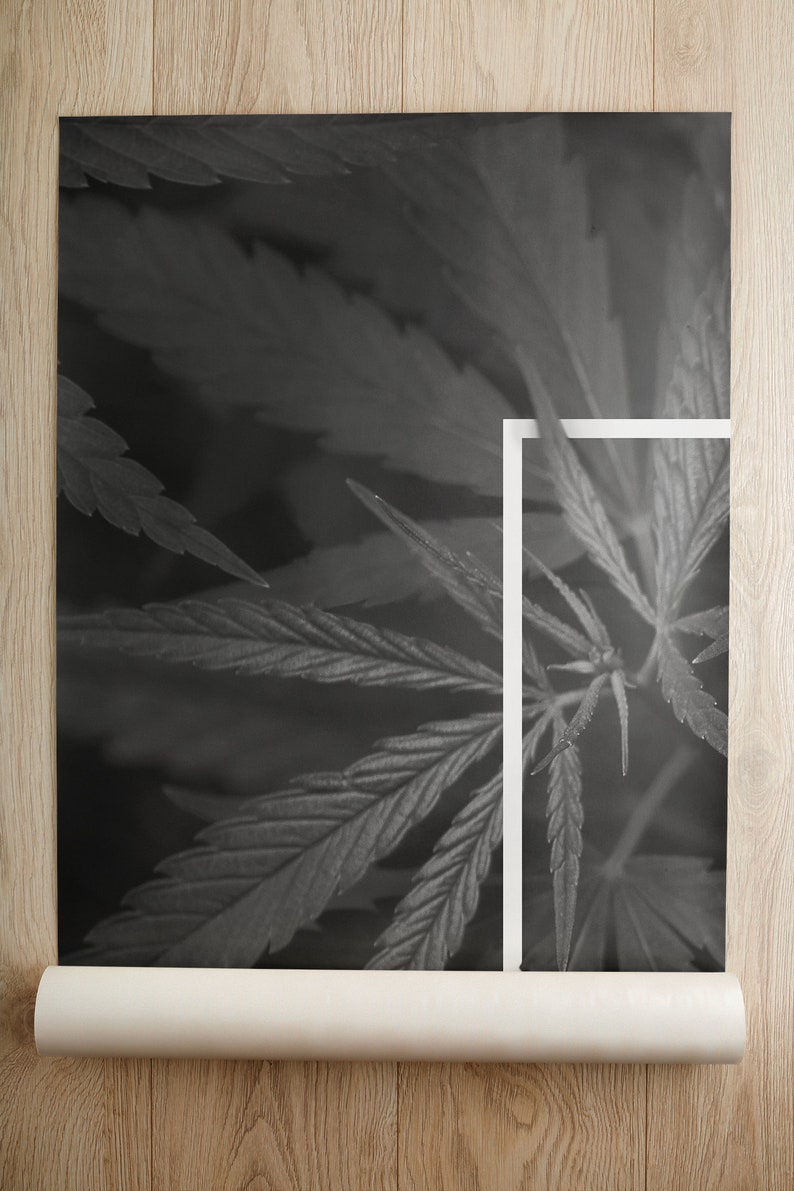 Abstract Leaves Wallpaper, Black and White Wall Mural • Peel and Stick ...