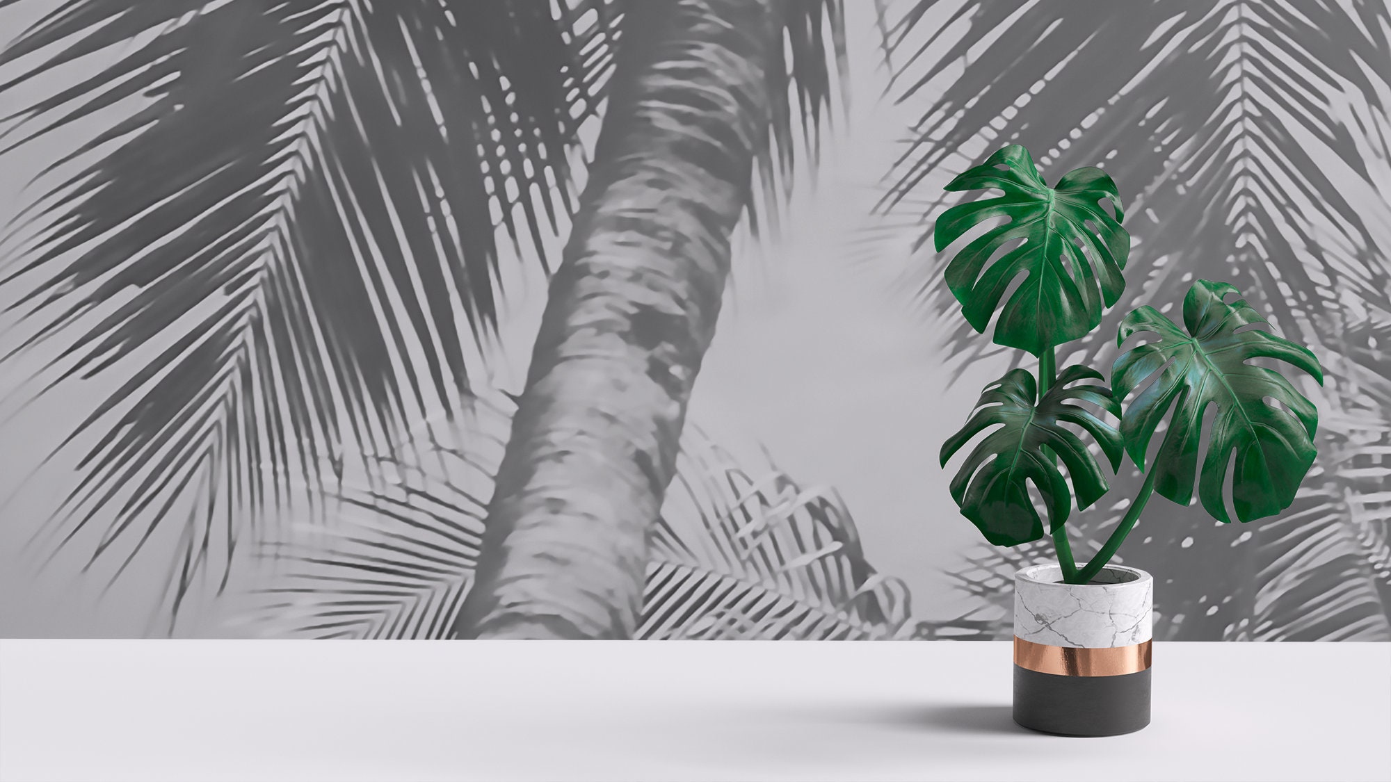 Black and White Palm Trees Photo Wallpaper | Self Adhesive | Peel ...
