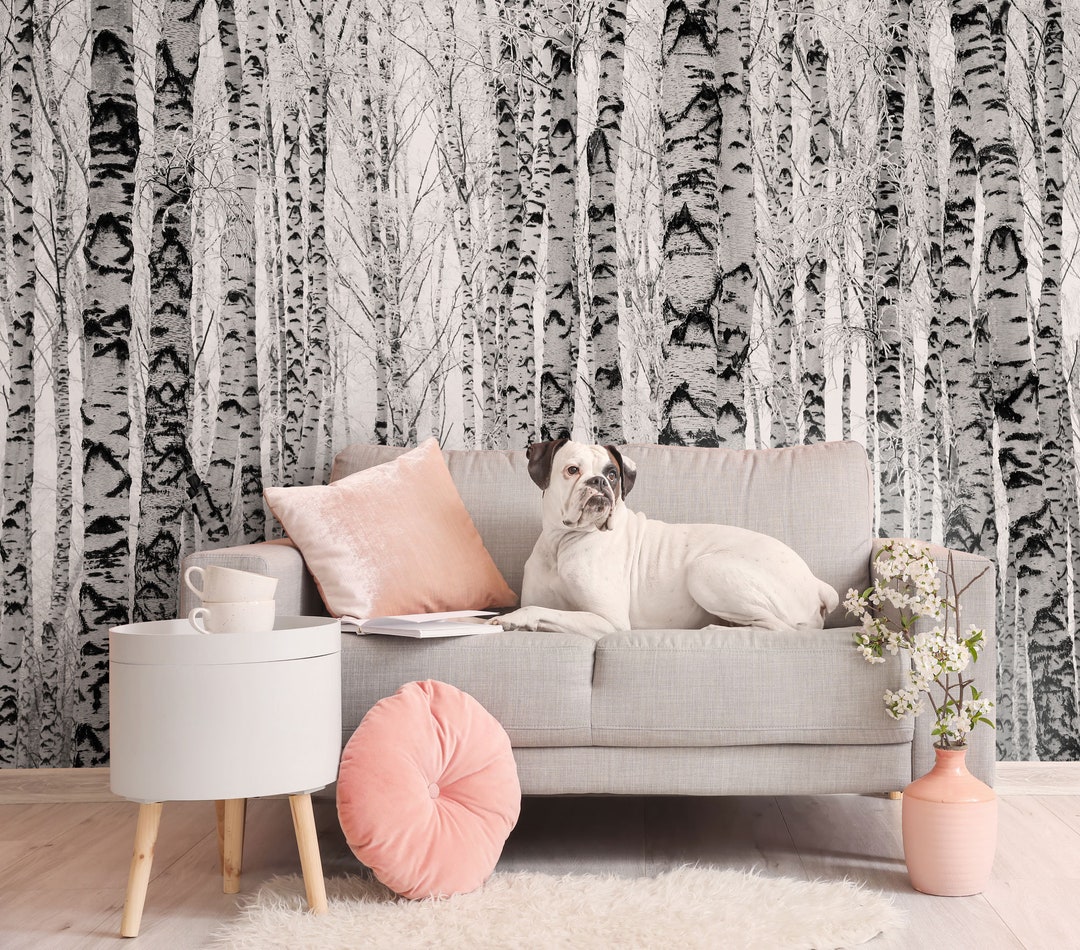 Birch Tree Black and White Forest Wallpaper | Self Adhesive | Peel and ...