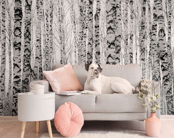 Birch tree black and white forest wallpaper | Self adhesive | Peel and Stick | Repositionable removable wallpaper
