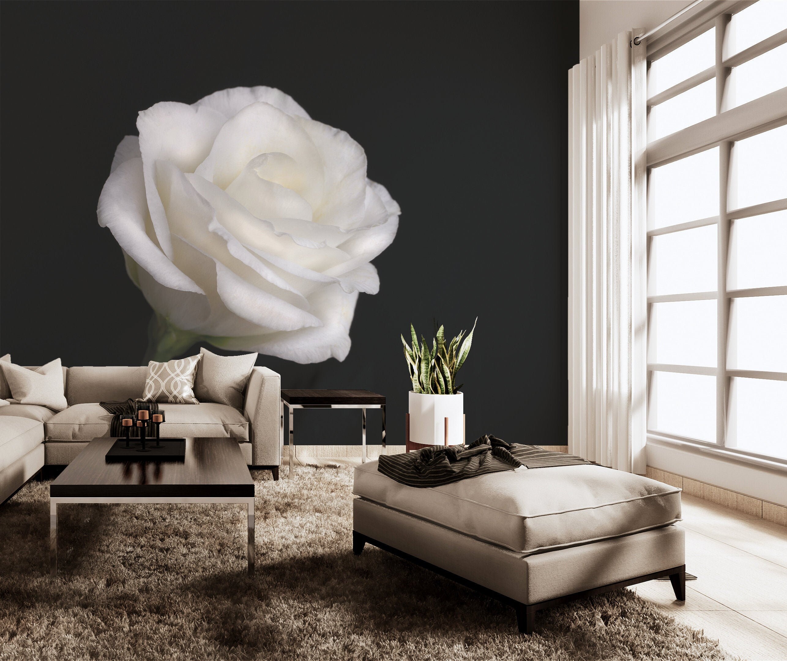 Black Photo Wallpaper With White Rose Self Adhesive Peel & - Etsy