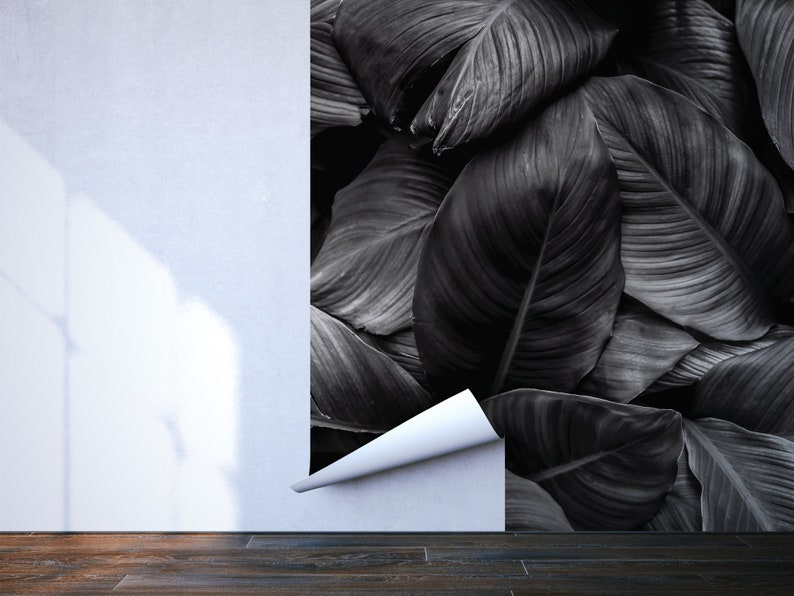 Black Photo Wallpaper With Tropical Leaves Self Adhesive | Etsy