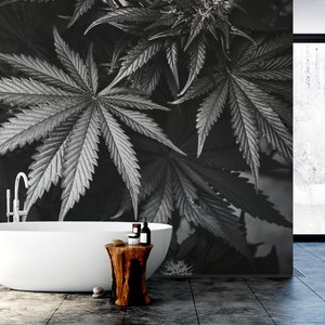 Carta da parati fotografica con foglie di marijuana in bianco e nero | Autoadesivo | Stacca e attacca | Carta da parati rimovibile riposizionabile