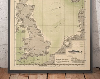 Old Mackerel Fish Map of the North Sea, 1883 by O.T. Olsen - Mackerel Fishing, Distribution, Spawning, Etc. - Framed, Unframed
