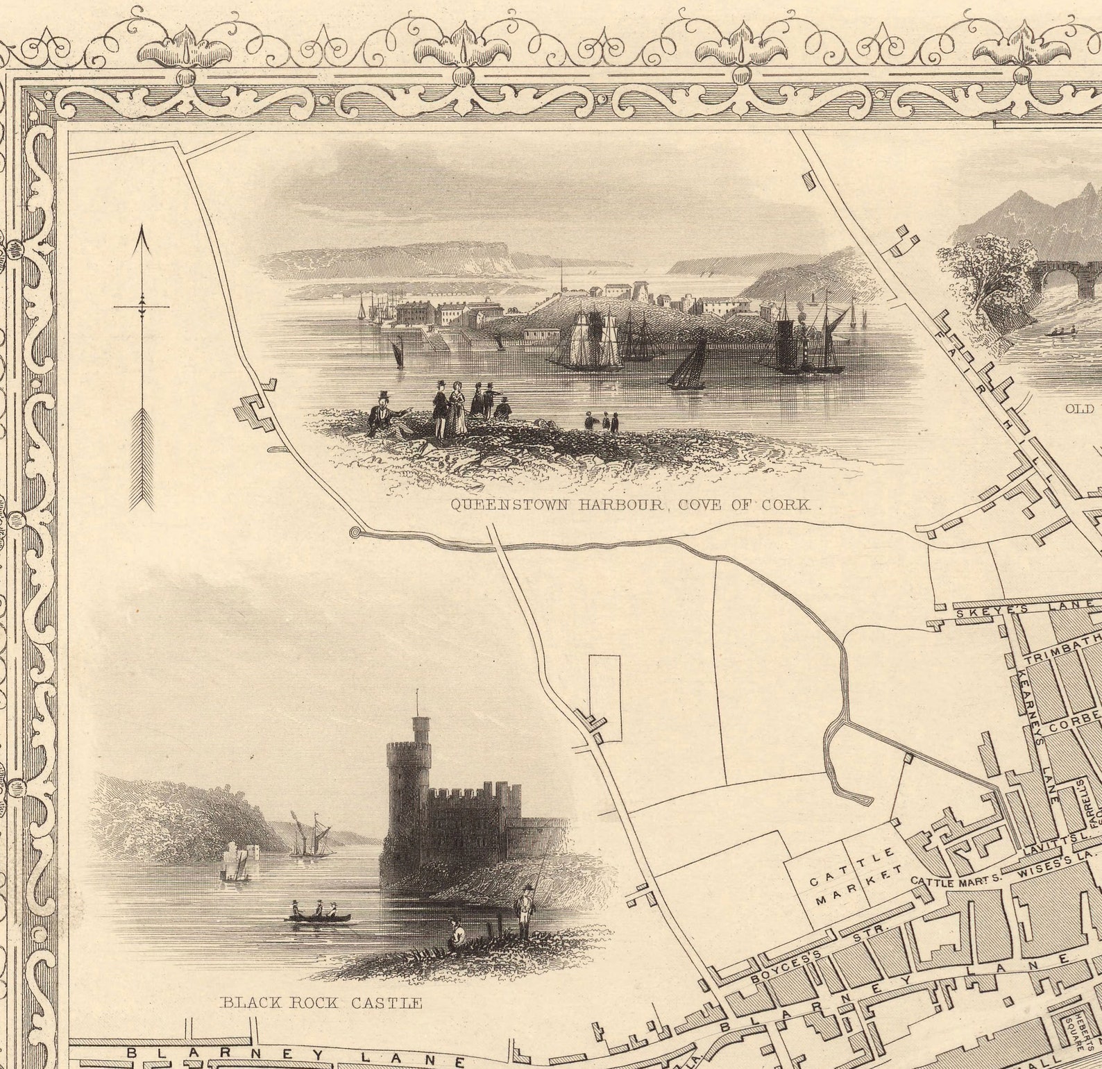 Old Map of Cork Ireland 1851 by Tallis & Rapkin Victorian | Etsy UK