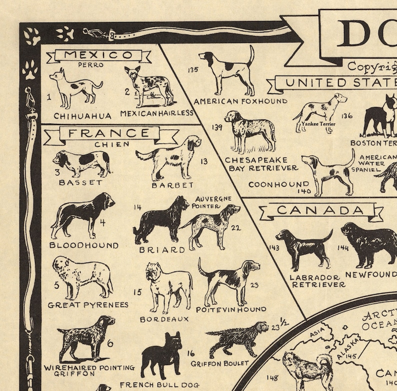 Old Dog Map 1936 World Atlas Chart of Breeds Terrier Etsy UK