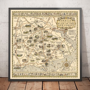 Pratts High Test Plan des New Forest, 1930 - Hampshire, Lyndhurst - Alte Vintage Autokarte - Esso, Standard Oil - gerahmt ungerahmt