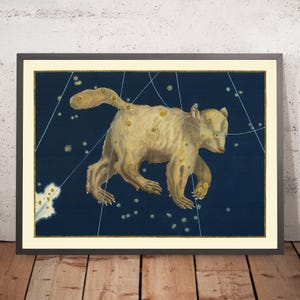 Old Star Map of Ursa Major (Great Bear) by Johann Bayer, 1603 - Celestial Constellation Chart