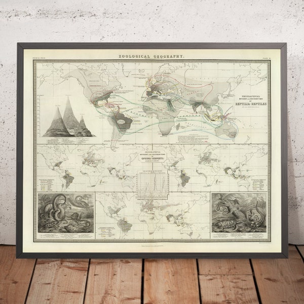 Old World Map of Reptile Distribution by Johnston, 1856: Snakes, Lizards, and Other Reptile Illustrations