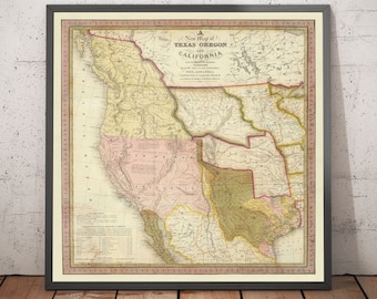 The Americas (incl. USA)