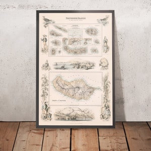Old Map of Azores & Madeira, 1865: Portuguese Islands, Funchal, Angra, Ponta Delgada, Fayal, Pico