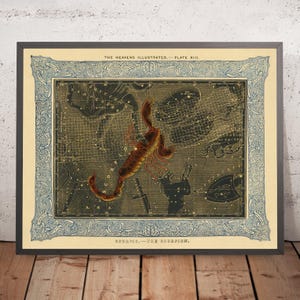Scorpio, The Scorpion by Duncan Bradford, 1837