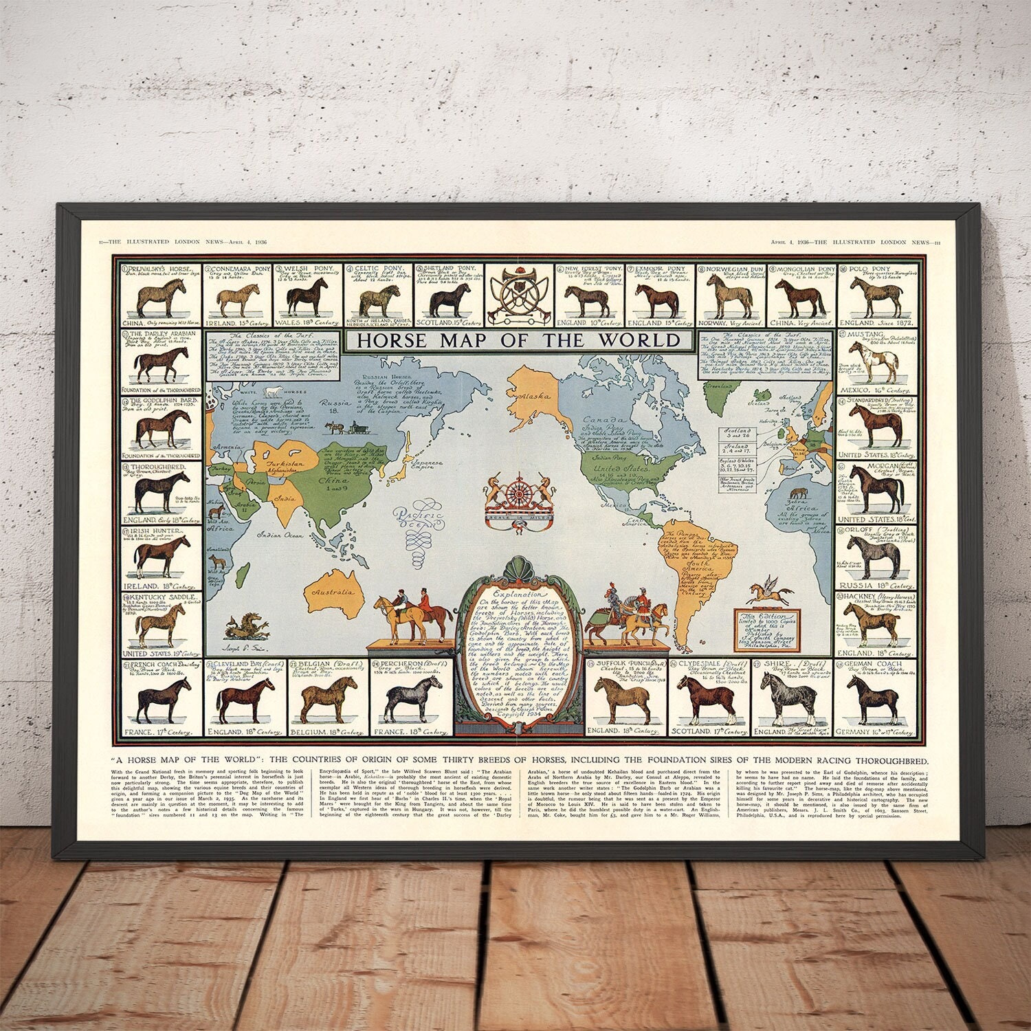 Horses of the World Poster -  Portugal