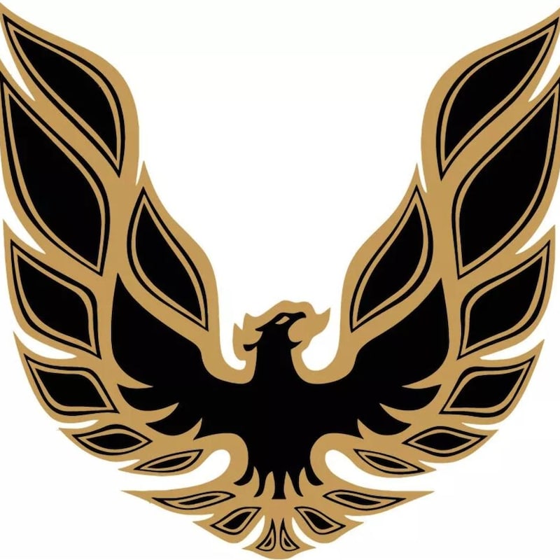 Trans Am Decal - Etsy