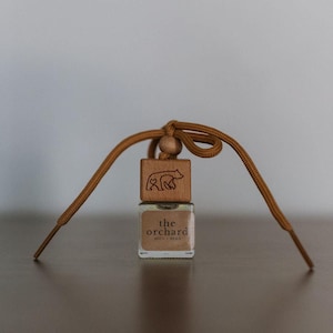 May include: A small, clear glass bottle with a brown liquid inside, topped with a wooden square and a bear carving. The bottle is suspended by a brown shoelace-like cord. The text "the orchard" and "wick-bead" are printed on the bottle.