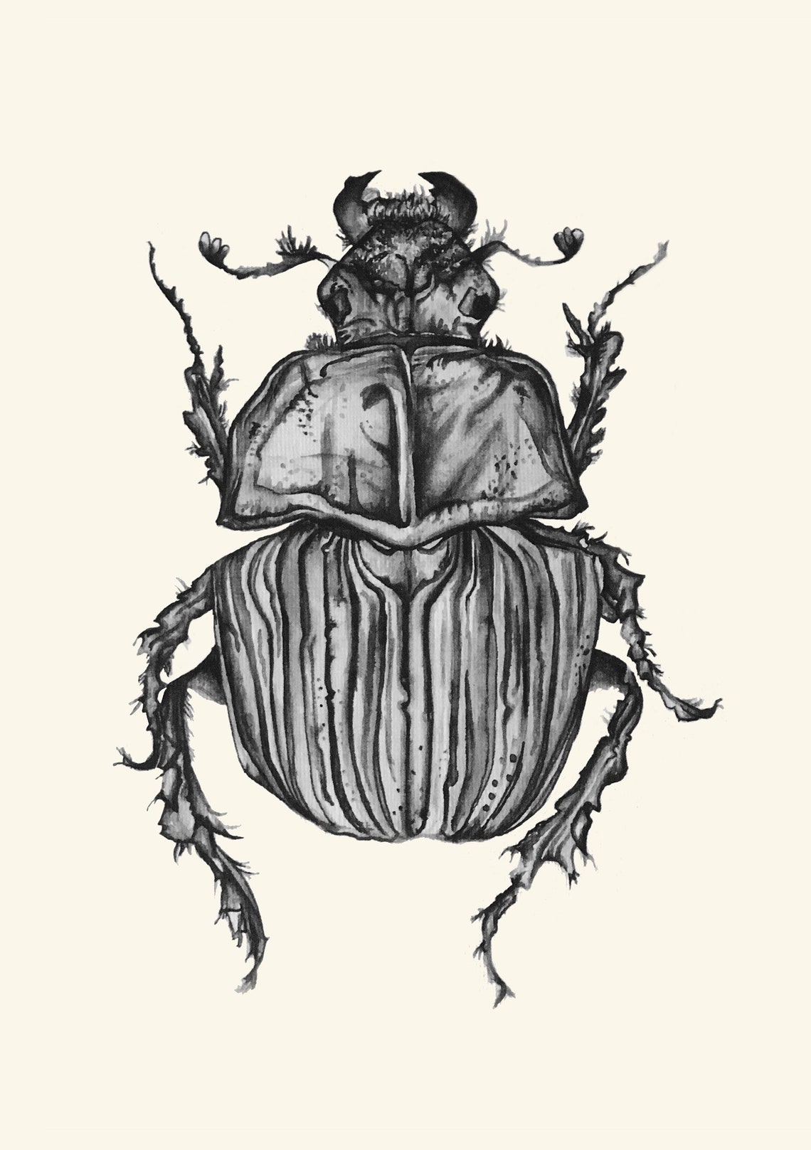A6A5 Collection of Creepy Crawly Art Prints Insect Etsy