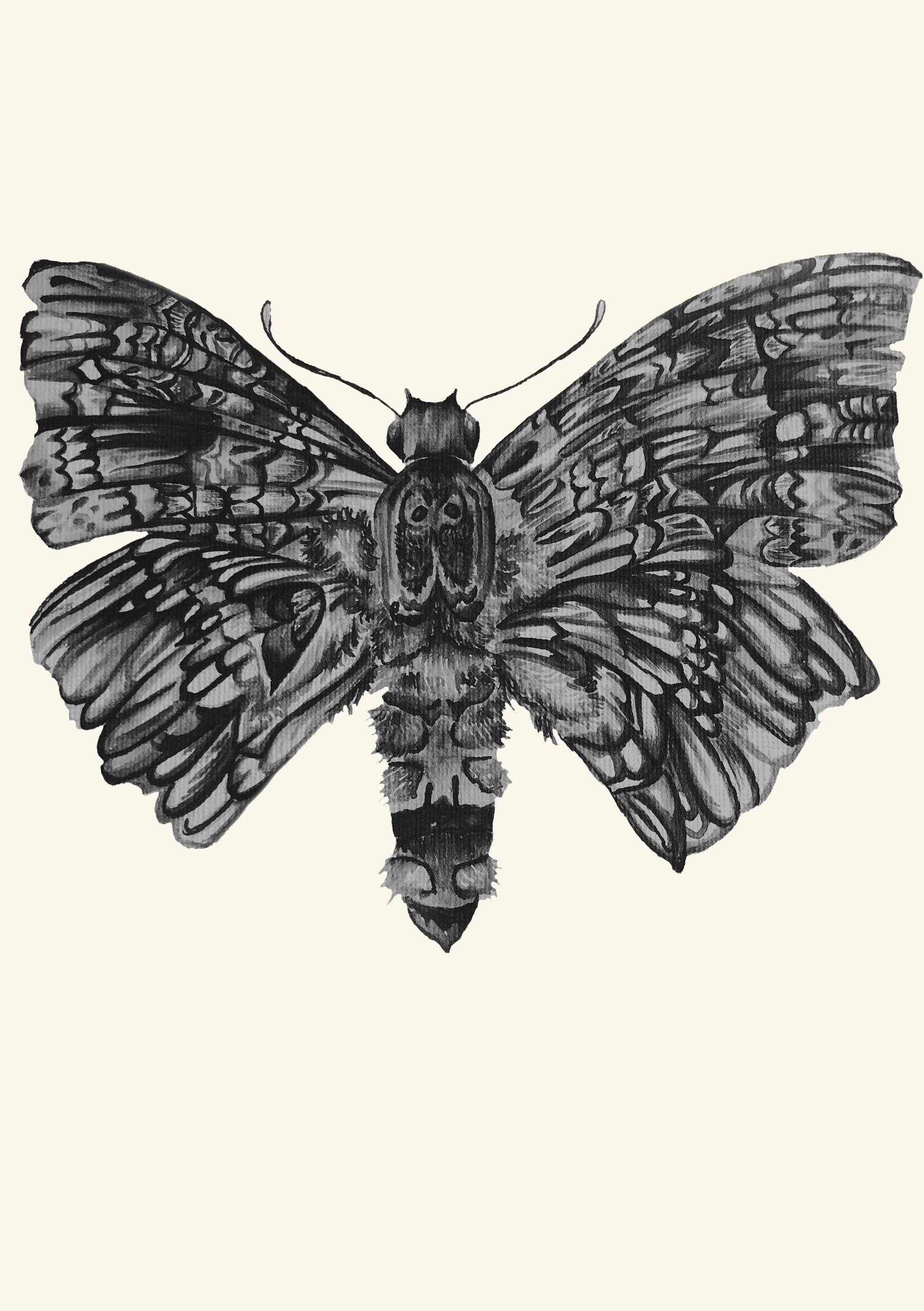 A6A5 collection of creepy crawly art prints insect Etsy