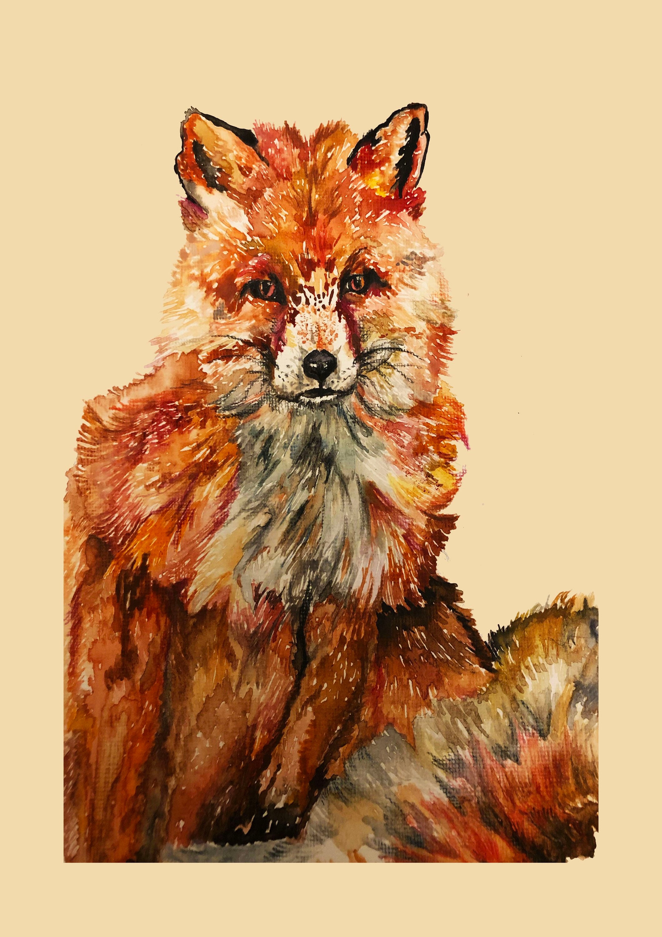 A3A4A5 Wildlife Illustration Featuring an Intricately Etsy