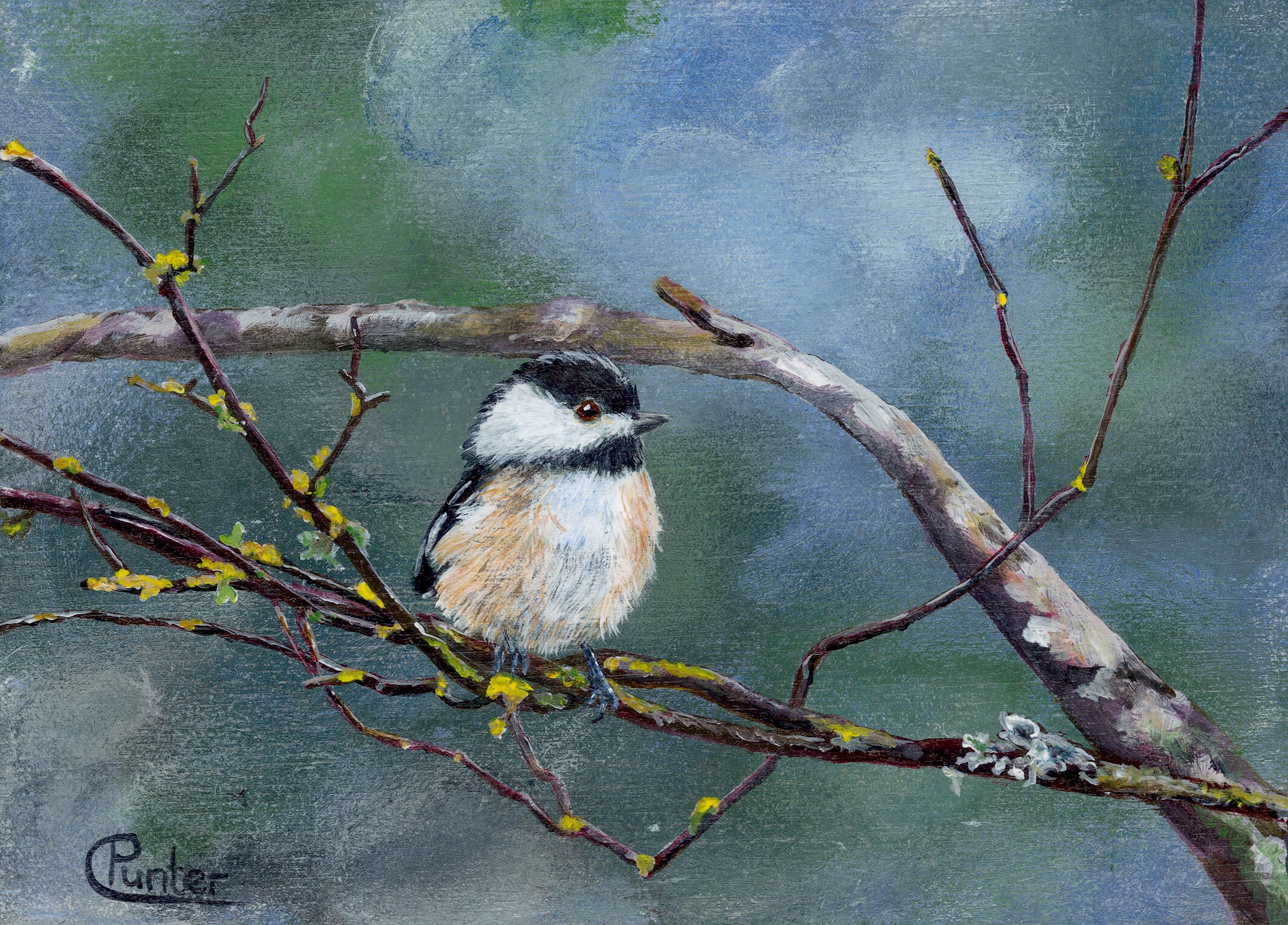 Chickadee 2 Fine Art Print | Etsy