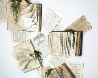 Peut inclure: Vue aérienne de plusieurs livres anciens ouverts et de pages volantes sur une surface blanche. Certaines pages sont pliées et ornées de brins de verdure. Les pages présentent du texte imprimé et des illustrations, créant une composition rustique et artistique.
