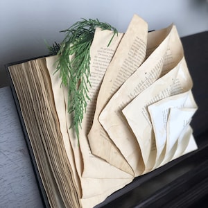 Puede incluir: Un libro abierto con páginas envejecidas y amarillentas, algunas de las cuales están dobladas y desplegadas. Una ramita de follaje verde descansa encima. El libro está sobre una superficie oscura, posiblemente un piano.