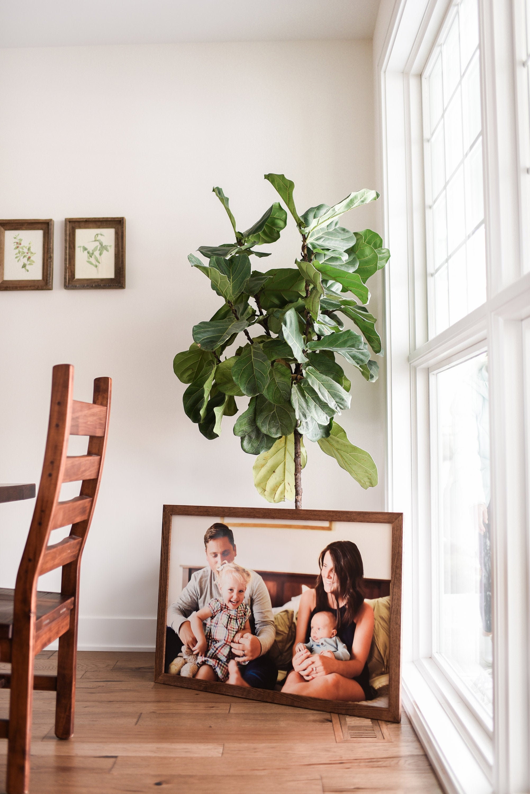 Home Decor / Custom Enlarged Photo Framed / Wall Art Etsy