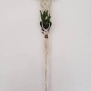 May include: A white macrame plant hanger with a small potted plant hanging from it. The hanger is attached to a white wall with a small wooden dowel.