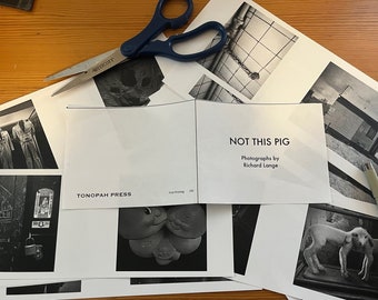 Not This Pig Photo Zine