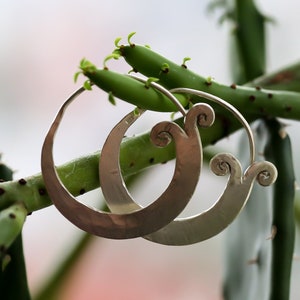 Puede incluir: Un par de pendientes de aro de plata con un diseño único de espiral. Los pendientes están colgados de una planta verde.