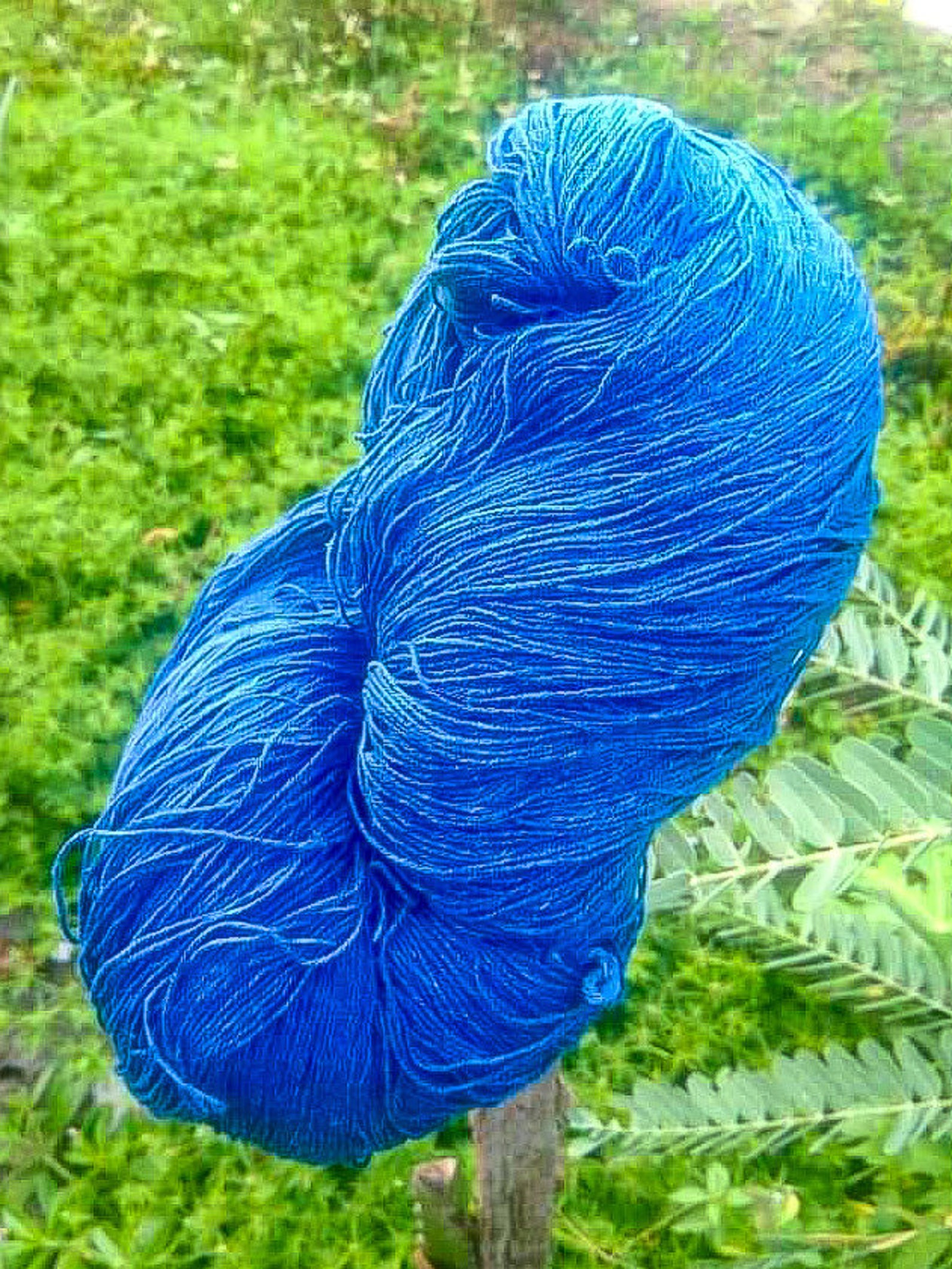 Indigo bundles of yarn 220g. natural plant dyed cotton Etsy