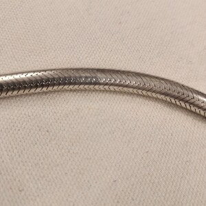 Pu&ograve; includere: Una collana a catena di serpente d'argento con un design intrecciato stretto.