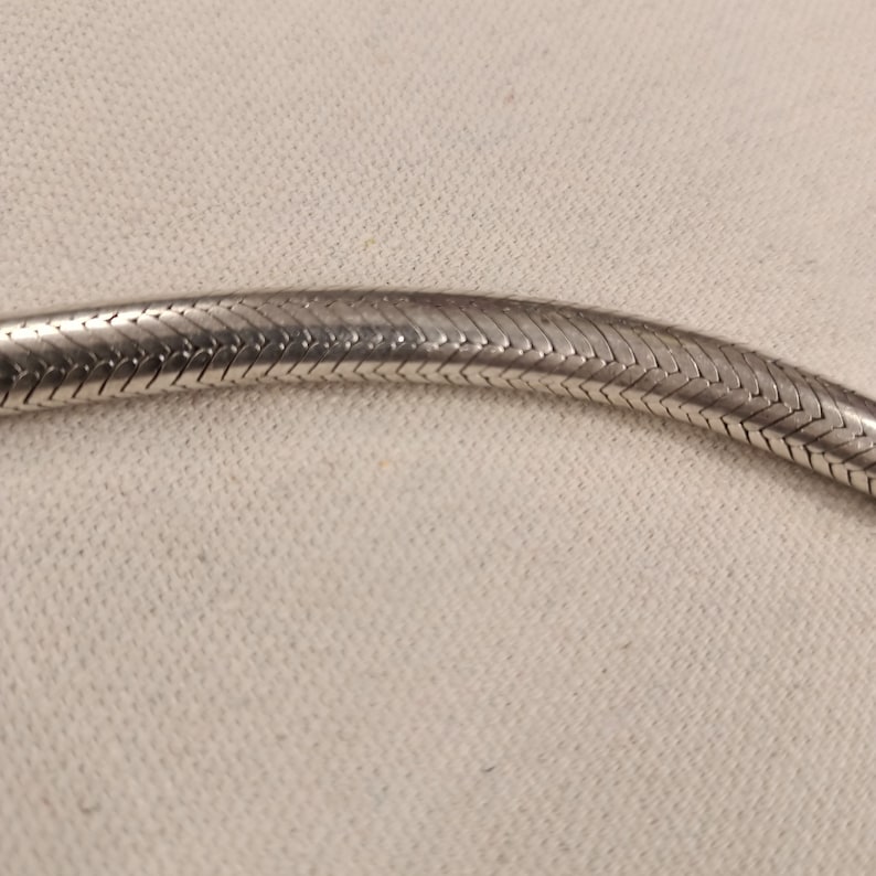 Pu&ograve; includere: Una collana a catena di serpente d'argento con un design intrecciato stretto.