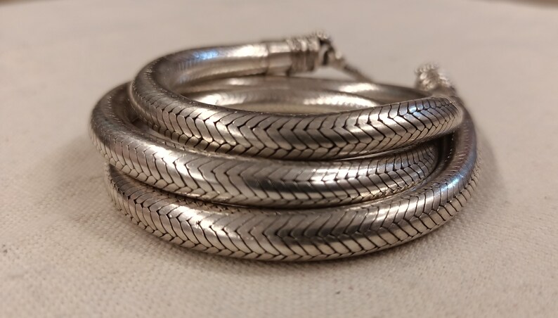 Pu&ograve; includere: Una collana a catena di serpente d'argento con un design intrecciato testurizzato. La catena &egrave; arrotolata e pronta per essere indossata.