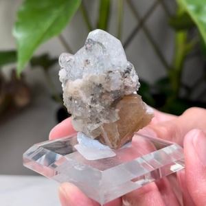 Puede incluir: Un grupo de cristales de aguamarina claros de color azul claro sobre una matriz marrón, naranja y blanca. Los cristales están sobre un soporte de exhibición de acrílico transparente.