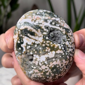 May include: A polished, round ocean jasper stone with a green, white, and brown color pattern. The stone is covered in small, white dots.