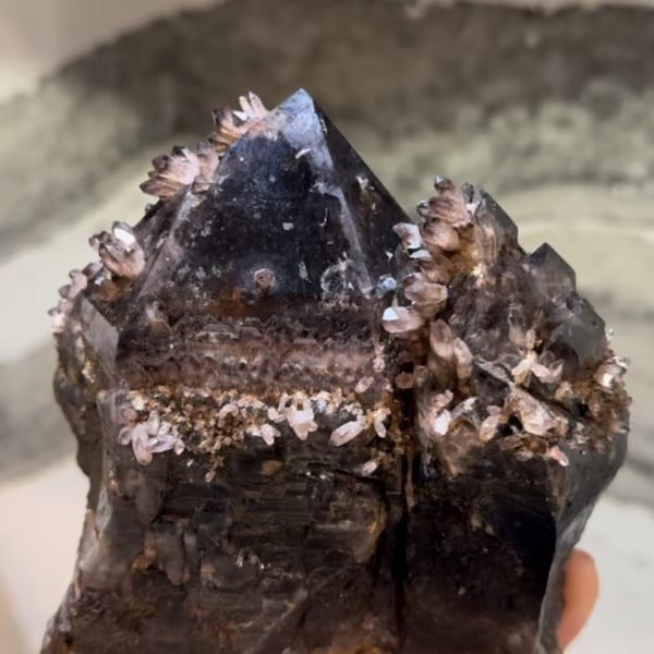 Large Smoky Quartz covered in secondary growth smoky points. Very unusual piece. Erongo namibia