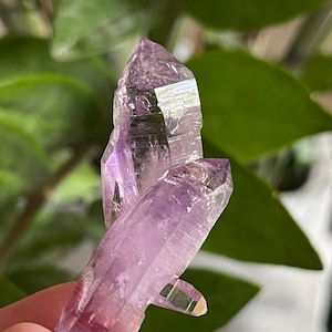 Vera Cruz Amethyst Cluster from Veracruz mine Mexico