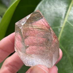 May include: A clear quartz crystal point with golden rutilated inclusions. The crystal is faceted and has a pointed tip. It is held in a hand against a green leafy background.