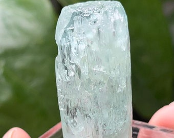 Beryl var. Aquamarine from Medina Mine,  Minas Gerais, Brazil.